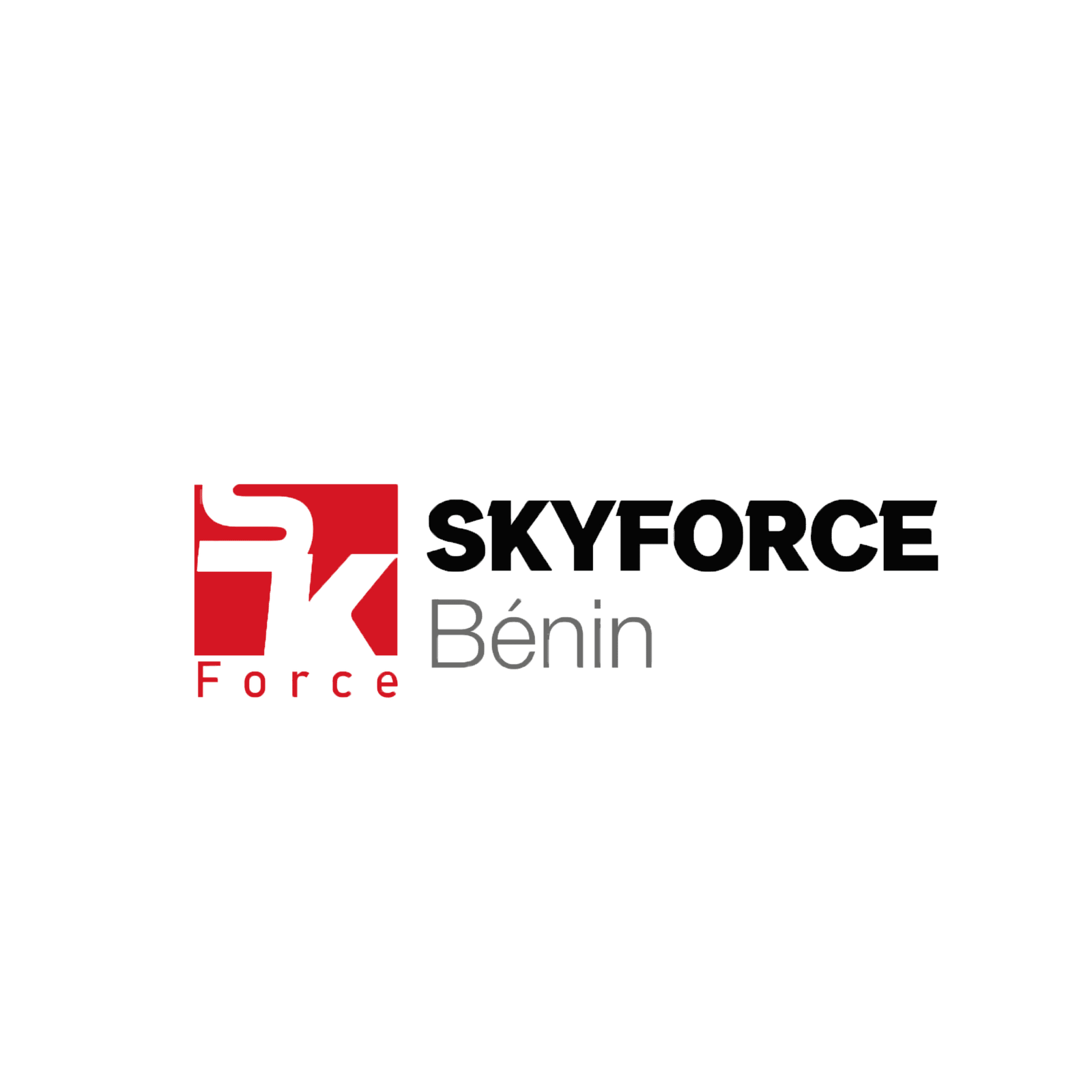 SKYFORCE BÉNIN HOLDING